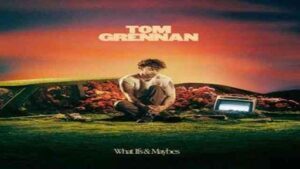 Here Lyrics Tom Grennan