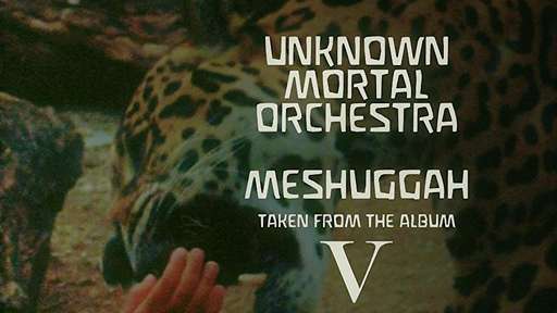 Meshugga Lyrics Unknown Mortal Orchestra