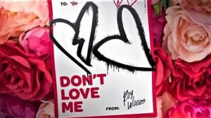 Don’t Love Me Lyrics Roy Woods