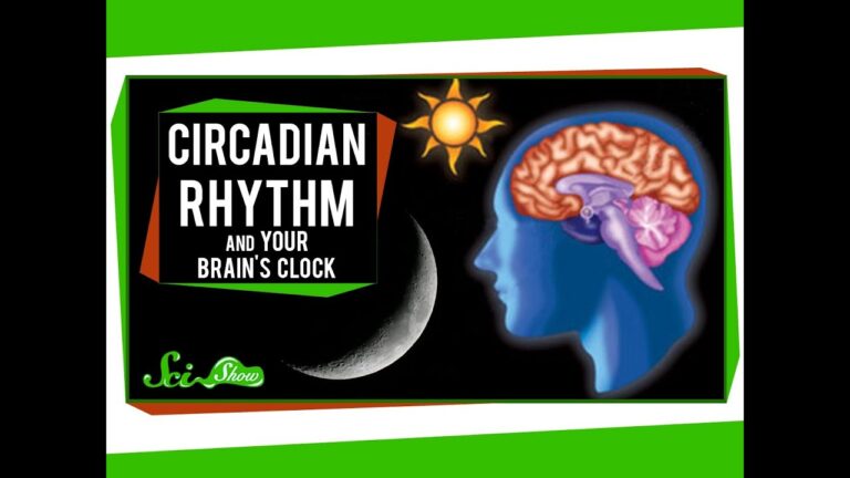 Circadian Rhythm