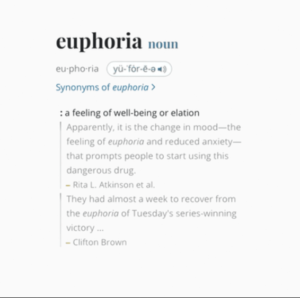 euphoria lyrics