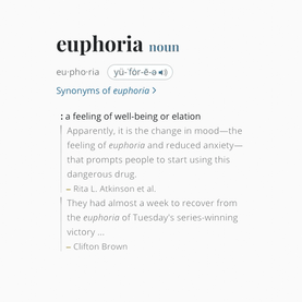 euphoria Lyrics